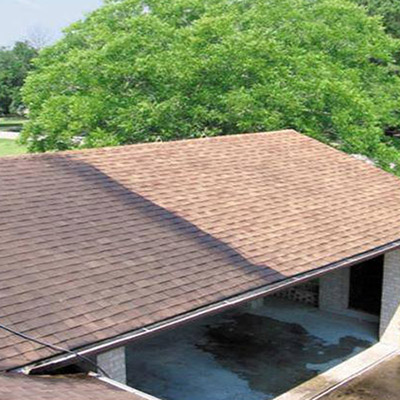 home roof cleaning and algae removal oakland county